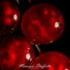 Macro. Red currants